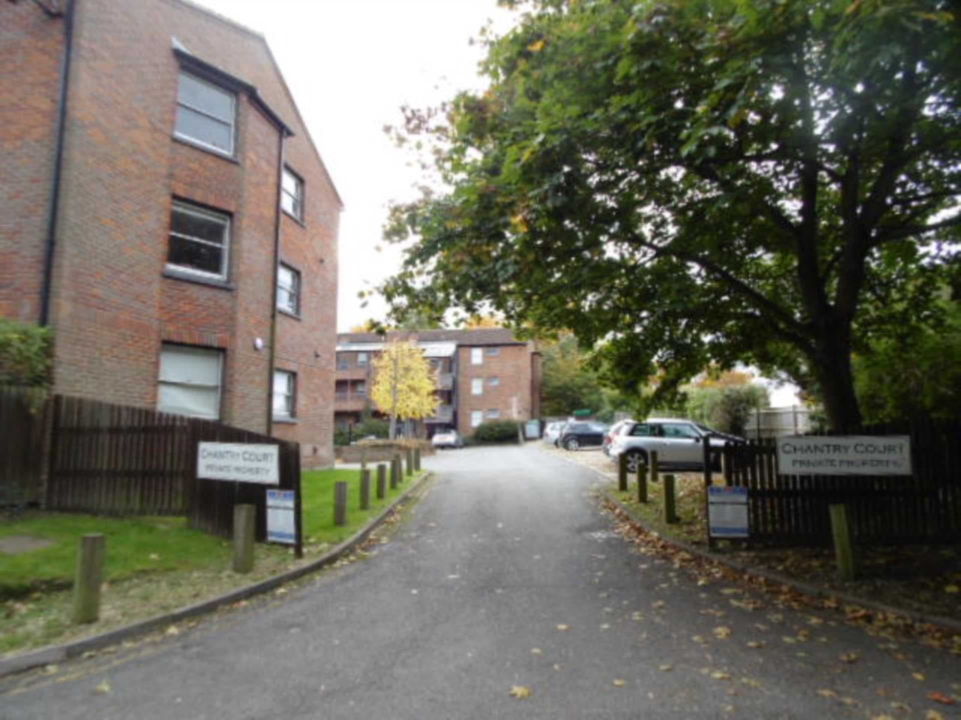 Woods Avenue, Hatfield