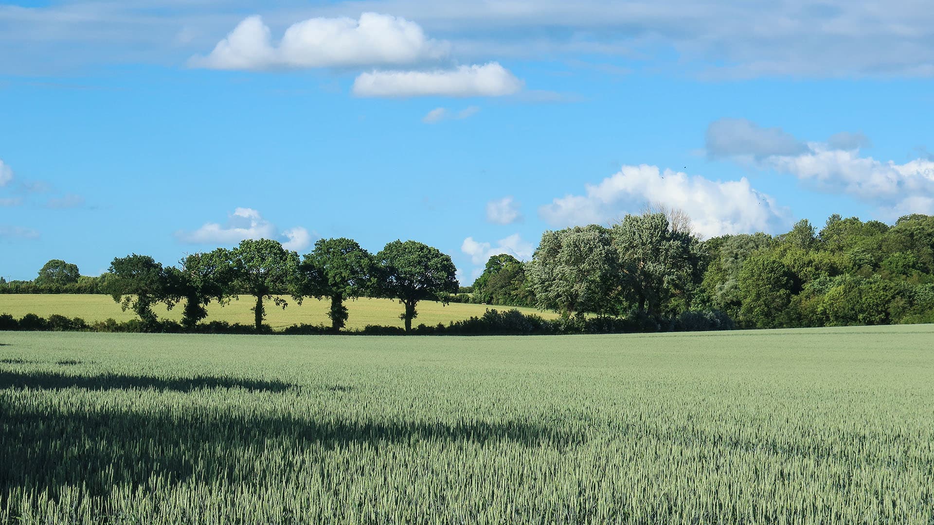 Colney Heath