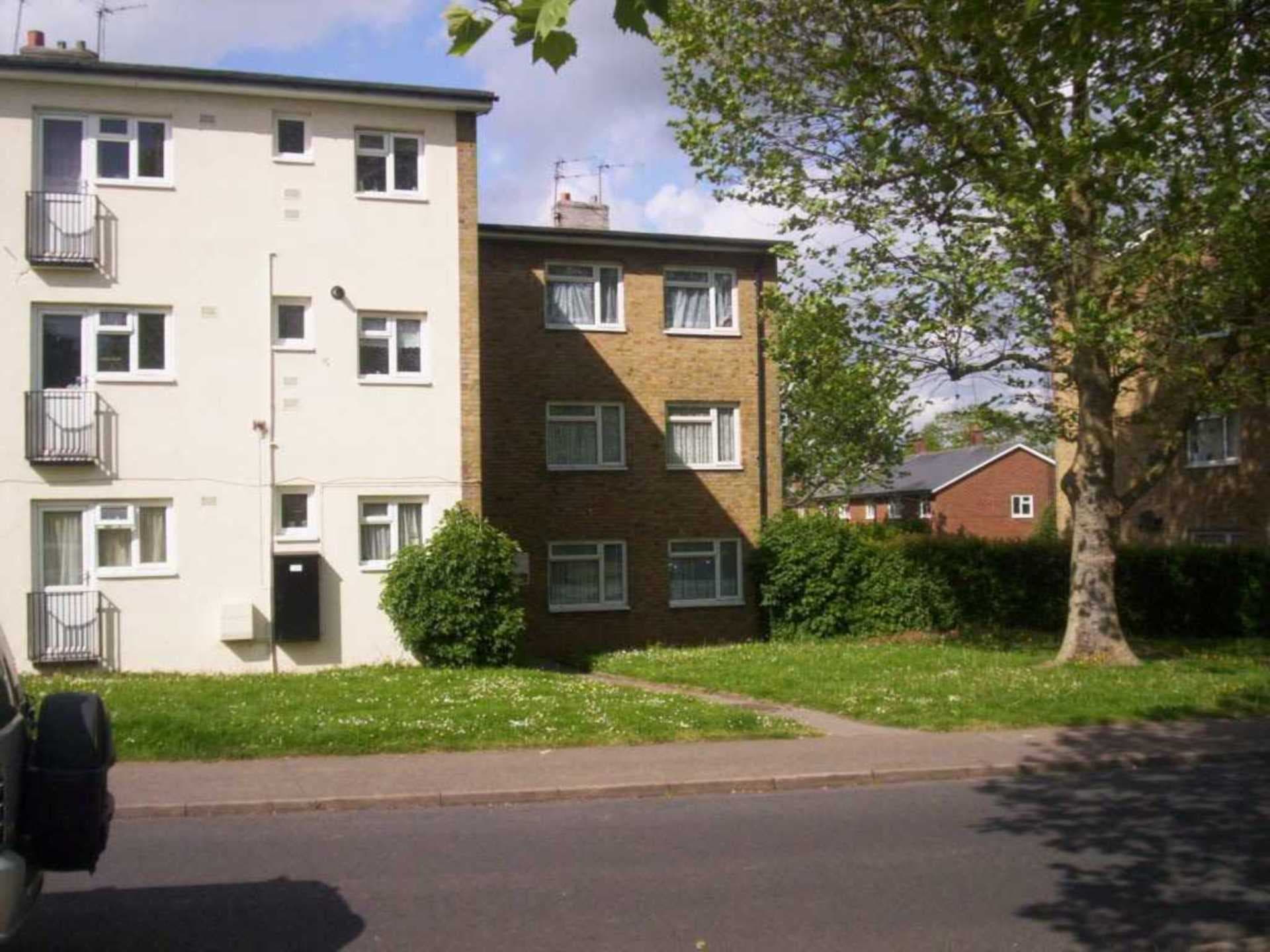 Grove Mead, Hatfield